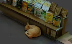 Cropped 16:9 image