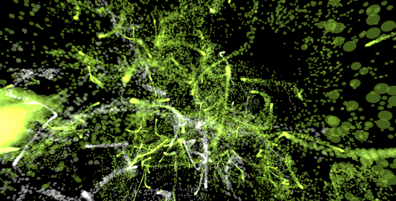 Cropped 16:9 image